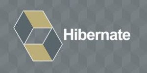 HIBERNATE TECHNOLOGY Course