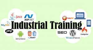 Industrial Training Institute in Lucknow