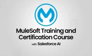 MuleSoft Training and Certification Course with Salesforce AI