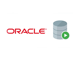 Oracle Developer Course