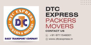 Packing and moving in Delhi made easier and cost-effective