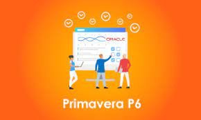 PRIMAVERA P6 TRAINING Course