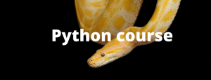 Python Course