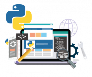 Python Web Development Course
