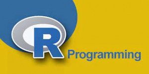 R Programming Course