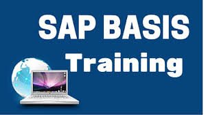 SAP BASIS Course
