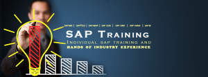 SAP Course