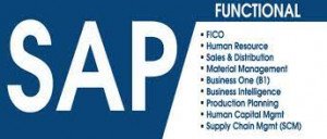 SAP Course