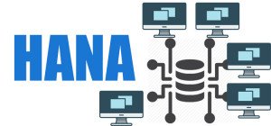 SAP HANA