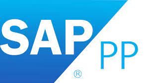 SAP PP Course