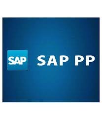 SAP PP Course