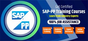 SAP pp training