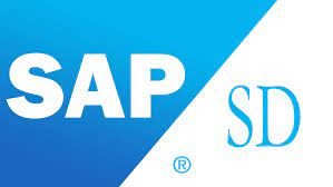 SAP SD Course