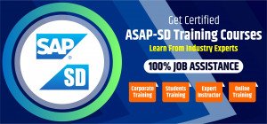 Sap SD Training