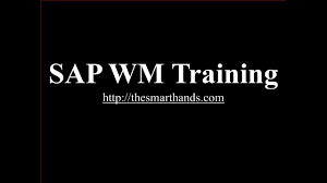SAP WM course