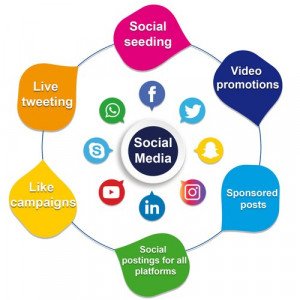 SMO Course | SMO Course in Delhi