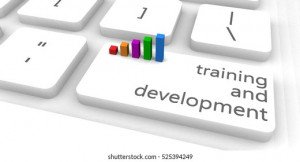 Software Development Training