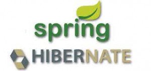 SPRING HIBERNATE COURSE