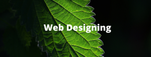 Web Desiging Course