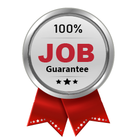 WEB DESIGN COURSE IN DELHI