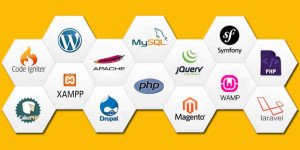 Web development