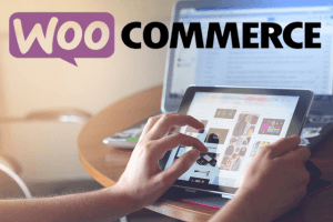 WooCommerce Training Course