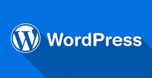 WordPress Training